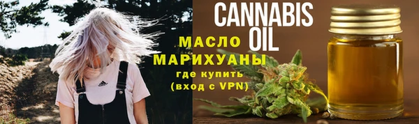 индика Бежецк