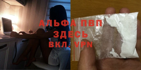 хмурый Алзамай