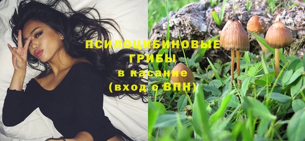 бошки Алексин