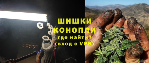 бошки Алексин